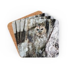 Corkwood Coaster 4 Piece Set, Grey Owl Coasters - Cork
