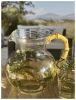 Leading Ware 3 Quarts Water Pitcher with Lid, Palm Tree Design Unbreakable Plastic Pitcher, Drink Pitcher, Juice Pitcher with Spout BPA Free - as Pic