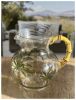 Leading Ware 3 Quarts Water Pitcher with Lid, Palm Tree Design Unbreakable Plastic Pitcher, Drink Pitcher, Juice Pitcher with Spout BPA Free - as Pic
