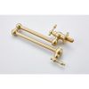 Wall Mount Folding Kitchen Pot Filler Faucet - as Pic